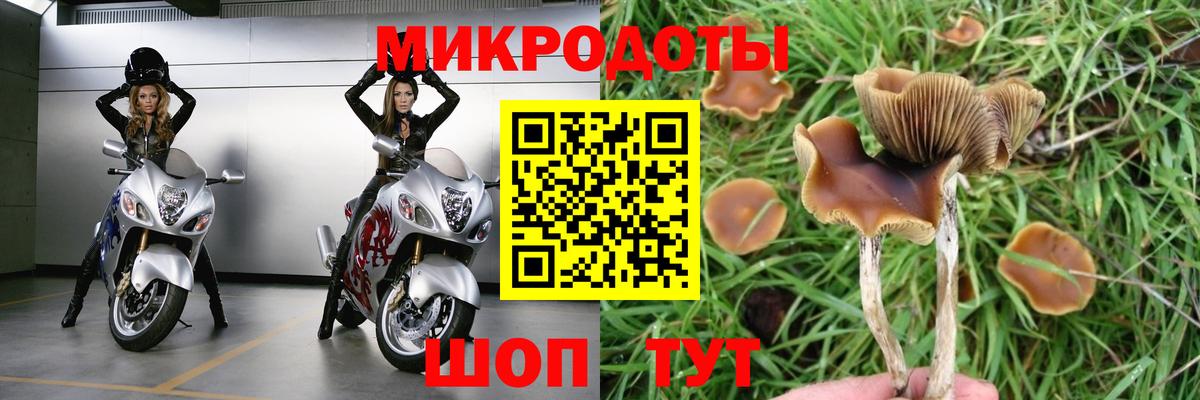 Карпинск  Галлюциногенные грибы ЛСД  Галлюциногенные грибы Psilocybine cubensis  Вход с VPN 